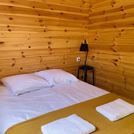 Holiday home Equipe Et Climatise En Ardeche Saint-Julien-du-Serre